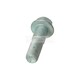 ZESKANTBOUT M14X1,5X50X19-10,9